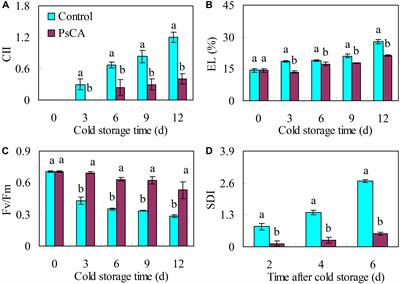 A Glycine-Rich RNA-Binding Protein, CsGR-RBP3, Is Involved in Defense Responses Against Cold Stress in Harvested Cucumber (Cucumis sativus L.) Fruit